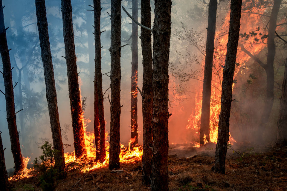 Rischio incendi boschivi